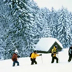 Hubertushof Appartement Jungholz